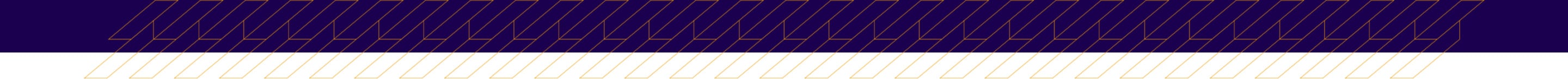 eric-website-divider-paarswit