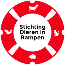 Stichting Dieren in Rampen